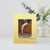 Carte Postale Pointeur 3 invisible (Debout devant)