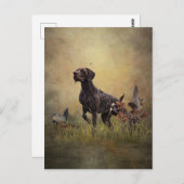 Carte Postale Pointeur à poils courts allemand (Devant / Derrière)