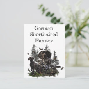 Carte Postale Pointeur à poils courts allemand