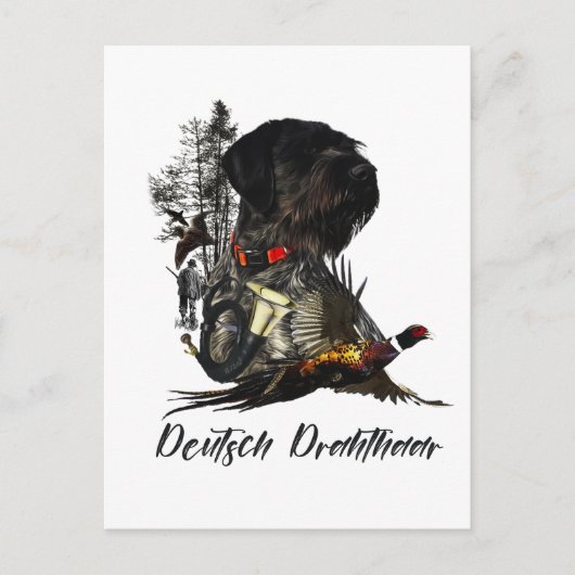 Carte Postale Pointeur À poils durs allemand (Devant)