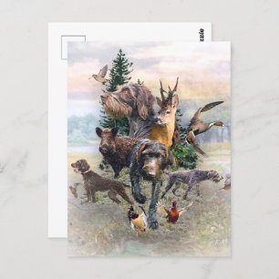 Carte Postale Pointeur À poils durs allemand