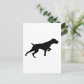 Carte Postale Pointeur À poils durs allemand (Debout devant)