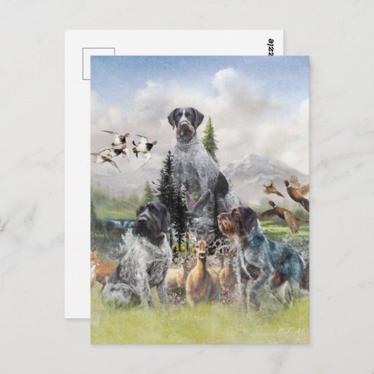 Carte Postale Pointeur À poils durs allemand (Devant / Derrière)