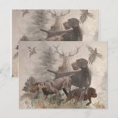 Carte Postale Pointeur À poils durs allemand (Devant / Derrière)