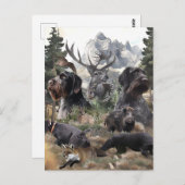 Carte Postale Pointeur À poils durs allemand (Devant / Derrière)