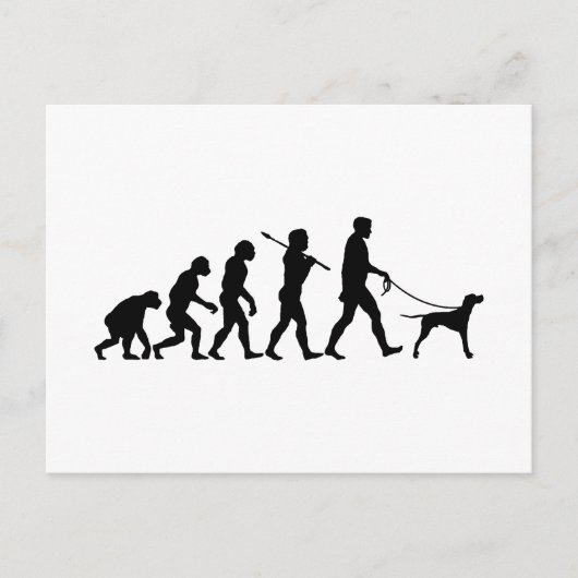 Carte Postale Pointeur anglais (Devant)