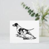 Carte Postale Pointeur anglais (Debout devant)