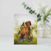 Carte Postale Pointeur anglais, chasse aux oiseaux (Debout devant)