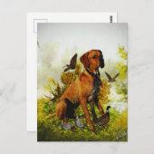 Carte Postale Pointeur anglais, chasse aux oiseaux (Devant / Derrière)