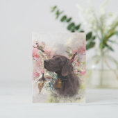 Carte Postale Pointeur court allemand (Debout devant)