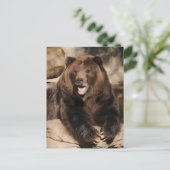 Carte Postale Pointeur Grizzly (Debout devant)