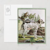 Carte Postale Pointeur, illustration de 'Histoire (Devant / Derrière)