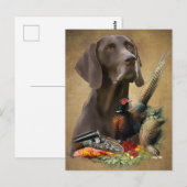 Carte Postale Pointeur Raccourci allemand GSP (Devant / Derrière)