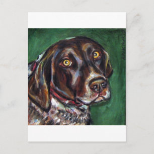 Carte Postale Pointeur Shorthair allemand