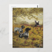Carte Postale Pointeurs allemands à poils courts (Devant / Derrière)
