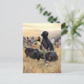 Carte Postale Pointeurs allemands à poils courts (Debout devant)