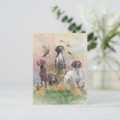 Carte Postale Pointeurs germains (GSP) (Debout devant)