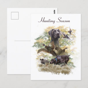 Carte Postale Pointeurs germains (GSP)