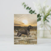 Carte Postale Pointeurs germains (GSP) (Debout devant)