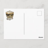 Carte Postale Pointeurs germains (GSP) (Dos)