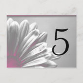 Carte Postale Points saillants floraux roses Numéro de tableau (Dos)