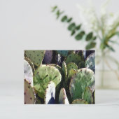 Carte Postale Poire de Prickly no 3 (Debout devant)