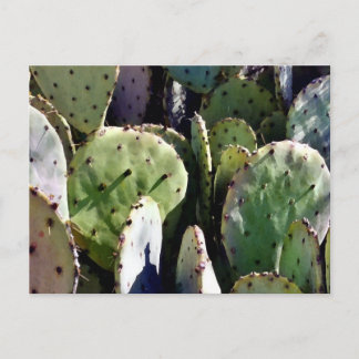 Carte Postale Poire de Prickly no 3