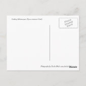 Carte Postale Poire Délicieuse (Dos)