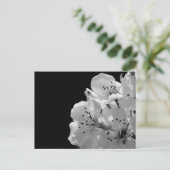 Carte Postale Poire ornementale ... (Debout devant)