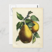 Carte postale poire vintage (Devant / Derrière)