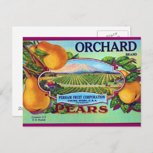 Carte Postale Poires de verger (Devant / Derrière)