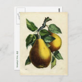 Carte Postale Poires d'or (Devant / Derrière)