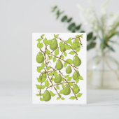 Carte Postale Poires en croissance (Debout devant)