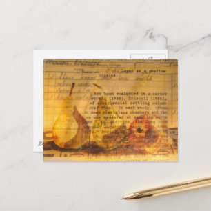 Carte Postale Poires Mixtes Collage