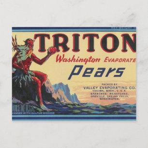 Carte Postale poires triton