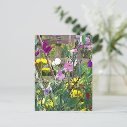 CARTE POSTALE POIS DOUX (Debout devant)