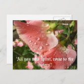 Carte Postale Pois doux (Devant / Derrière)