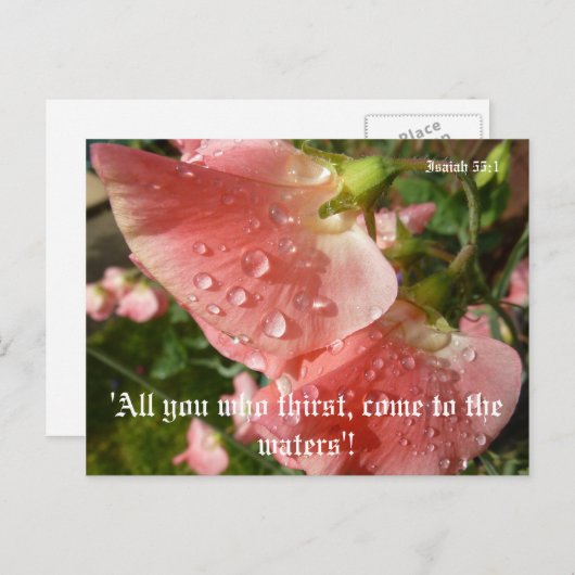 Carte Postale Pois doux (Devant / Derrière)