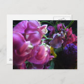 Carte Postale Pois doux (Devant / Derrière)