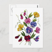 Carte Postale Pois doux colorés (Devant / Derrière)