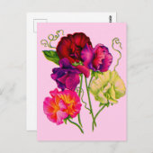 Carte Postale pois doux en violet et rose (Devant / Derrière)