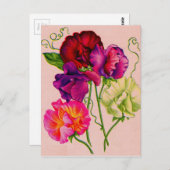 Carte Postale pois doux en violet et rose (Devant / Derrière)