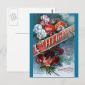 Carte Postale Pois doux vintages (Devant / Derrière)