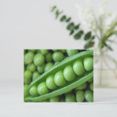 CARTE POSTALE POIS LÉGUMES (Debout devant)