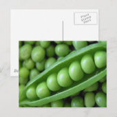 CARTE POSTALE POIS LÉGUMES (Devant / Derrière)