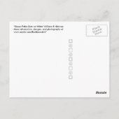 Carte Postale Pois verts en blanc (Dos)