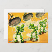 Carte Postale pois verts prenant des douches (Devant / Derrière)