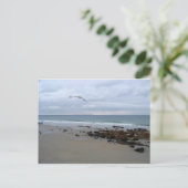 Carte Postale Poison du Maine (Debout devant)