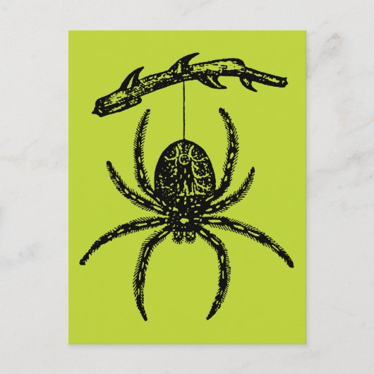 Carte postale Poison Green Spider (Devant)