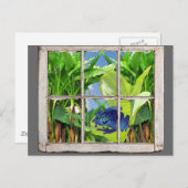 Carte Postale Poison grenouille (Devant / Derrière)